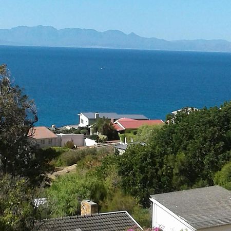 Froggy Bay Is The Best All The Way! Simonʼs Town Dış mekan fotoğraf