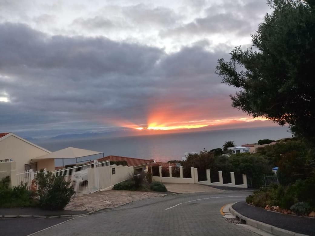 Froggy Bay Is The Best All The Way! Simonʼs Town Dış mekan fotoğraf